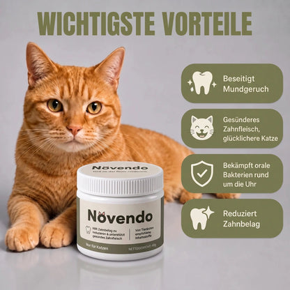 Novendo Zahnpulver für Katzen