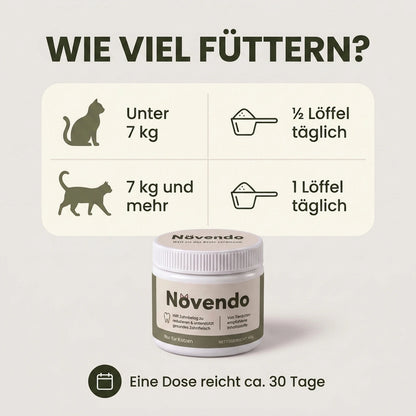 Novendo Zahnpulver für Katzen