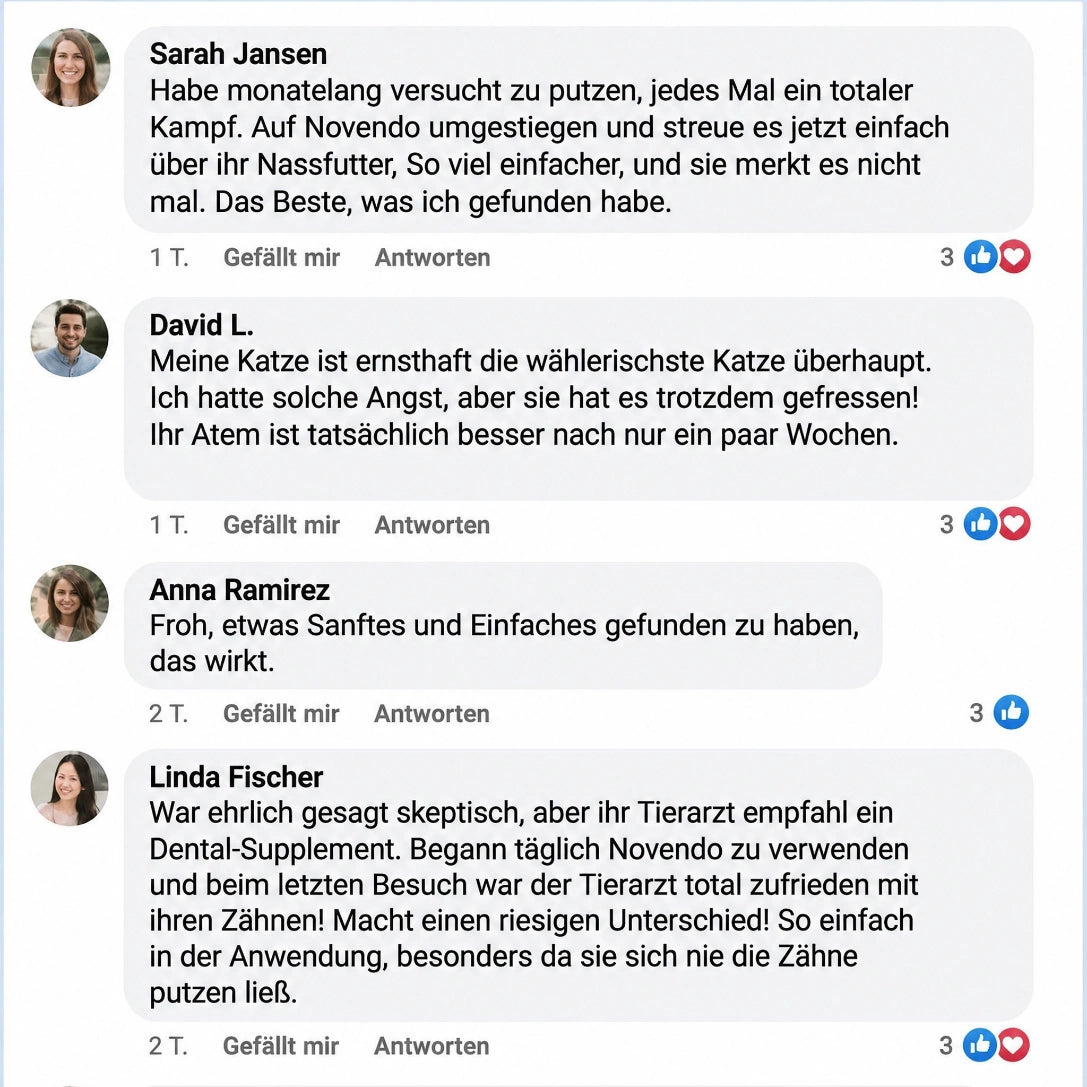 Novendo Zahnpulver für Katzen