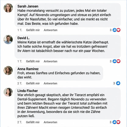 Novendo Zahnpulver für Katzen