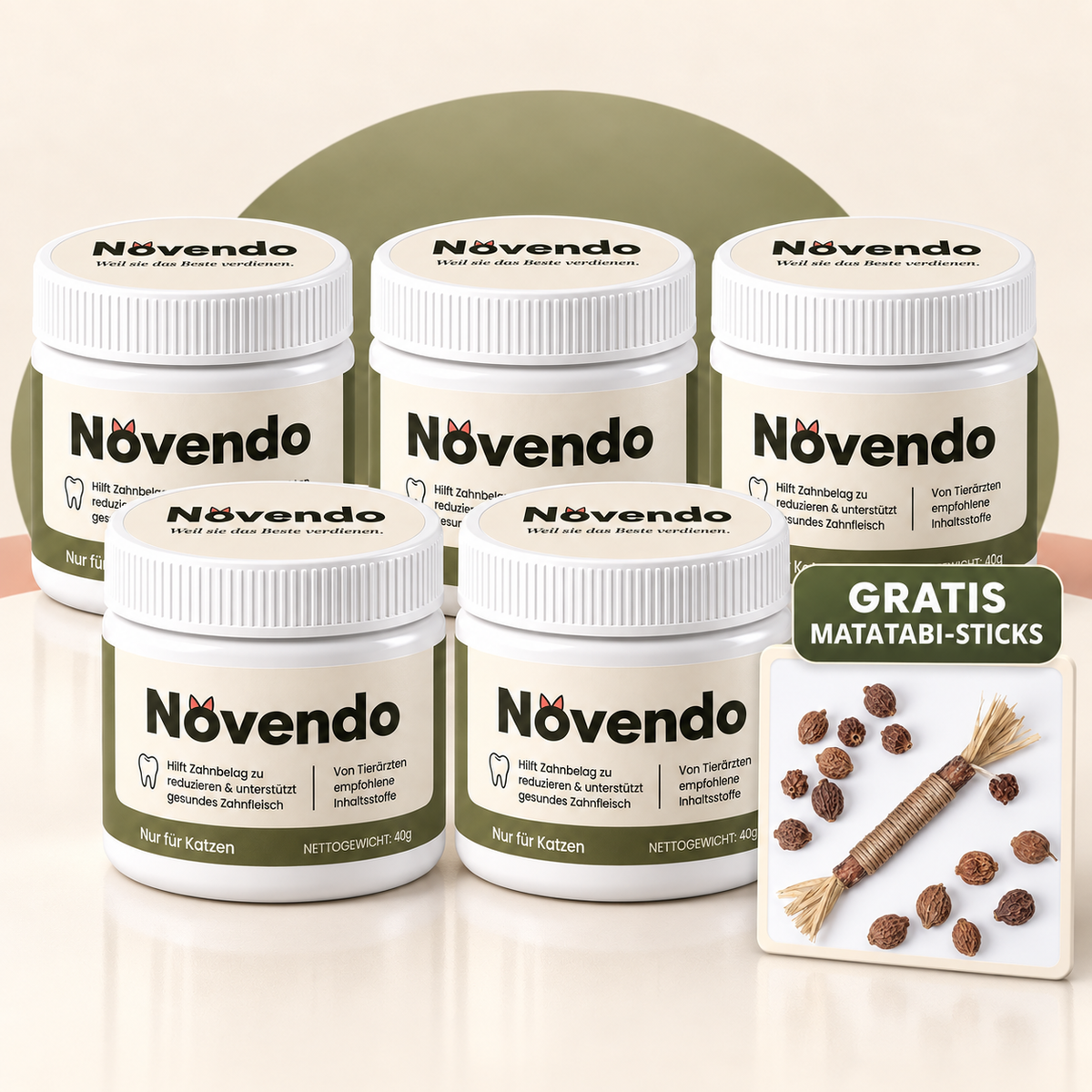 Novendo Zahnpulver – 5 Dosen Set